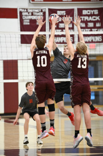 AAHS volleyball opens with win